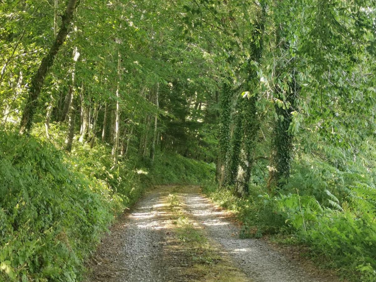 Domaine Lvd Avec Spa, Bois Et Riviere Privee La Bloutiere エクステリア 写真