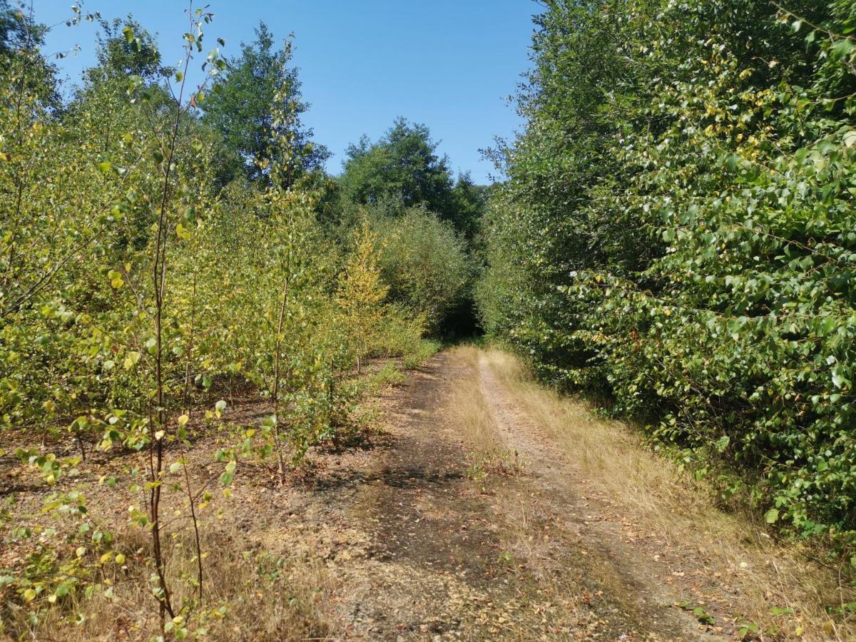 Domaine Lvd Avec Spa, Bois Et Riviere Privee La Bloutiere エクステリア 写真