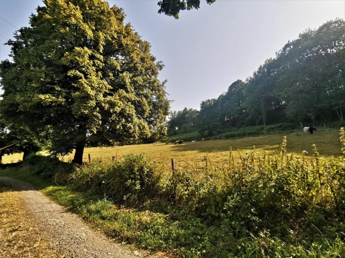 Domaine Lvd Avec Spa, Bois Et Riviere Privee La Bloutiere エクステリア 写真