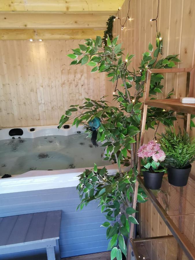Domaine Lvd Avec Spa, Bois Et Riviere Privee La Bloutiere エクステリア 写真