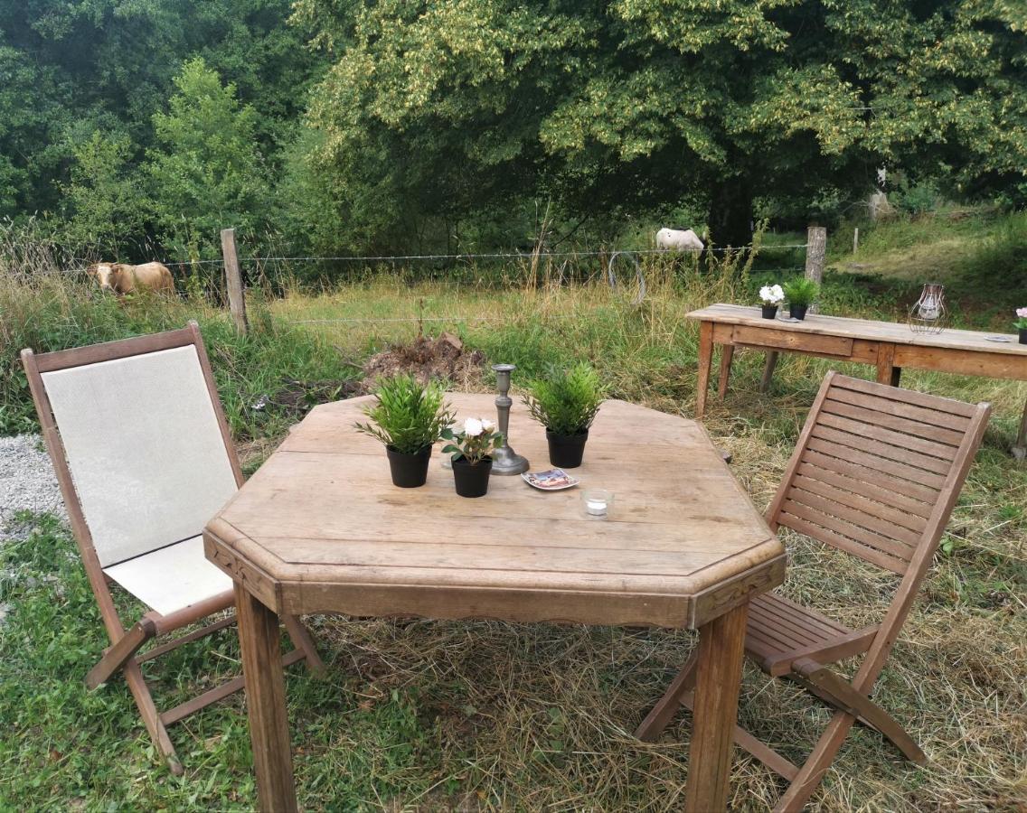 Domaine Lvd Avec Spa, Bois Et Riviere Privee La Bloutiere エクステリア 写真